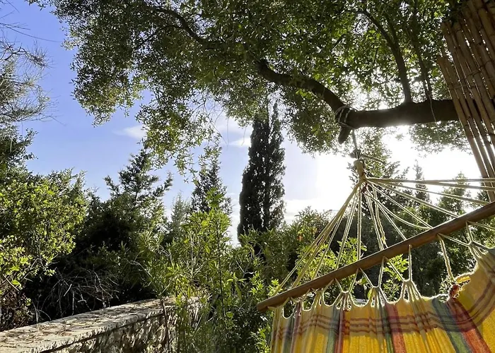 La Casa Tra Gli Alberi E Il Cottage