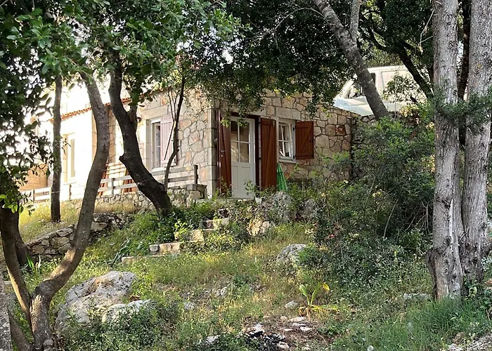 La Casa Tra Gli Alberi E Il Cottage