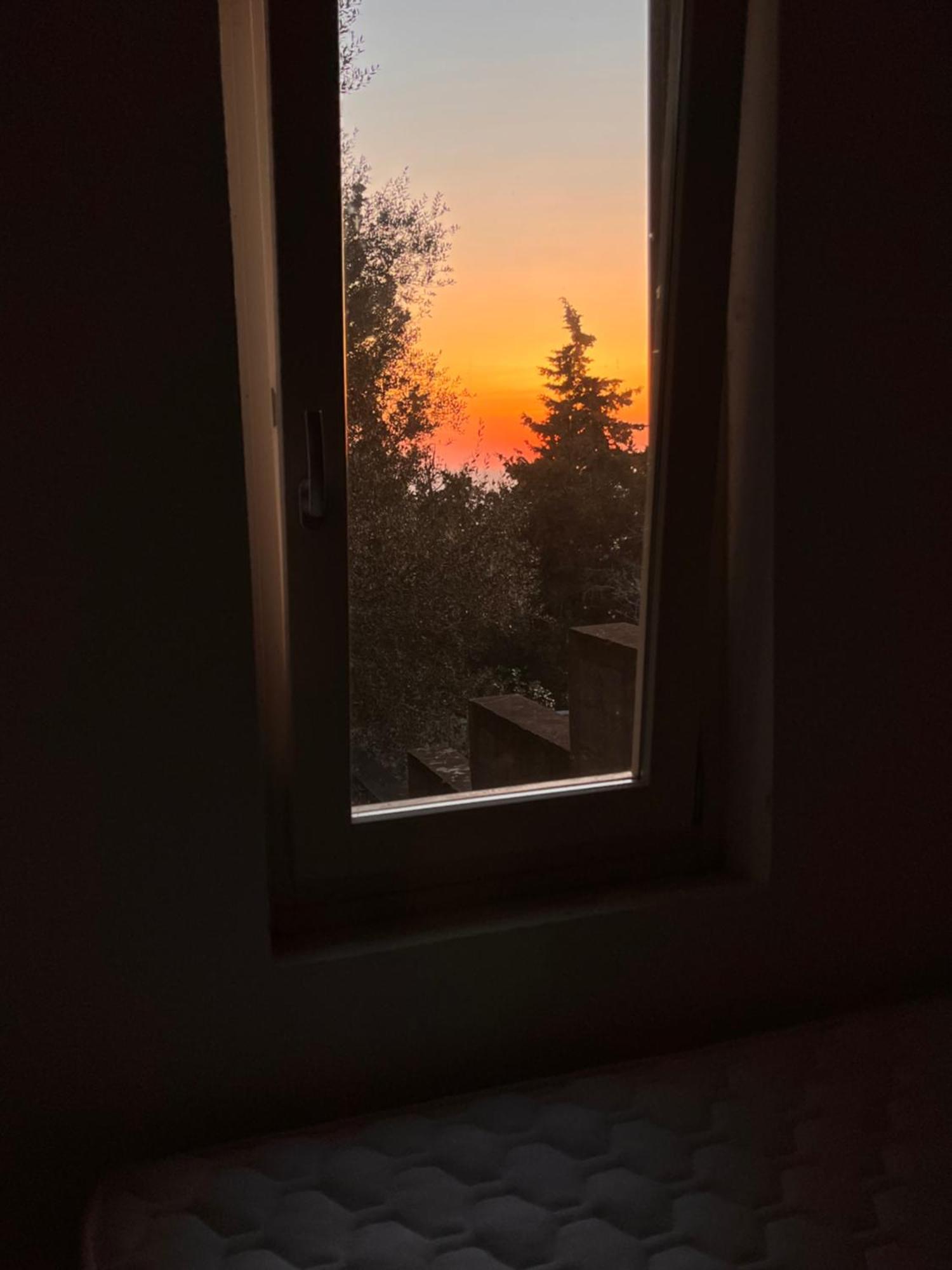 Casa vacanze La Casa Tra Gli Alberi E Il *
